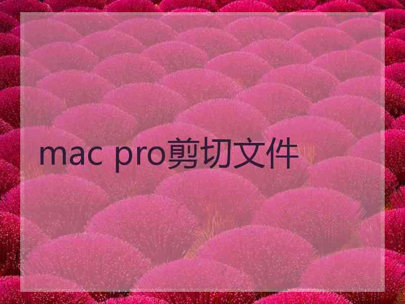 mac pro剪切文件