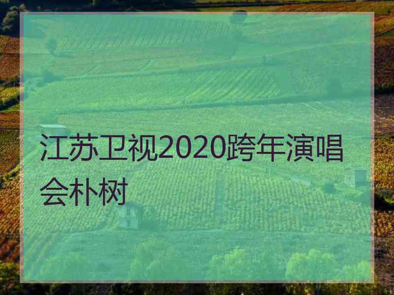 江苏卫视2020跨年演唱会朴树