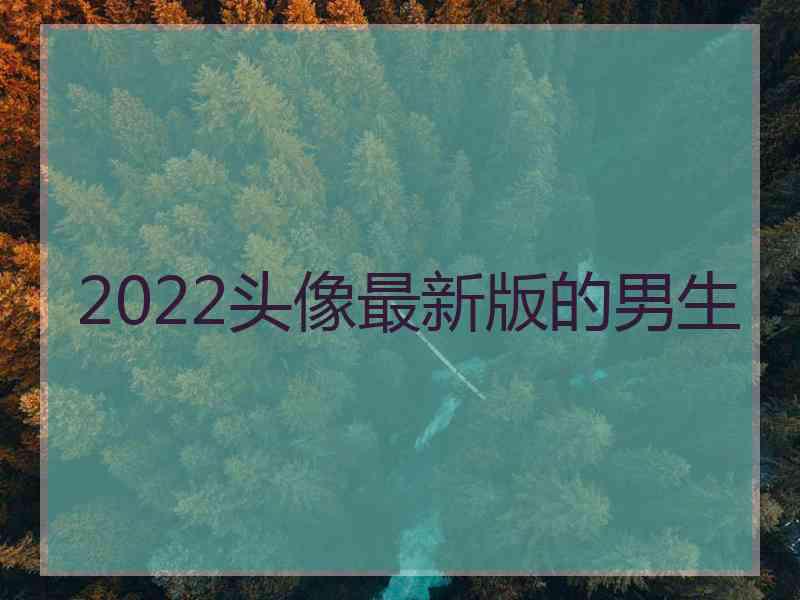 2022头像最新版的男生