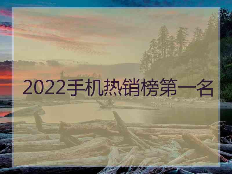 2022手机热销榜第一名