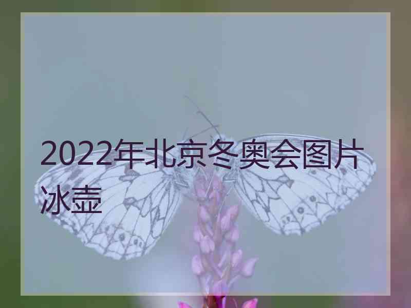 2022年北京冬奥会图片冰壶