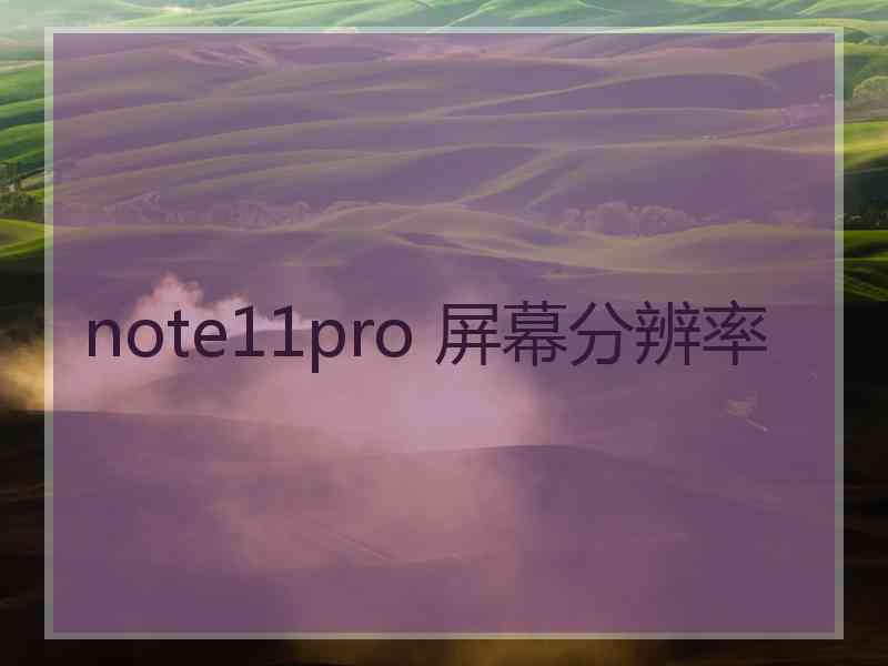 note11pro 屏幕分辨率