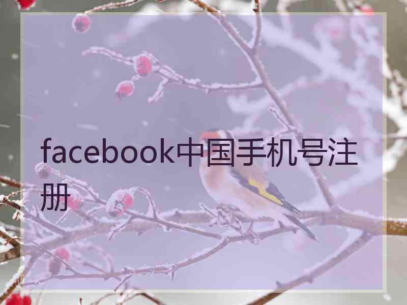 facebook中国手机号注册