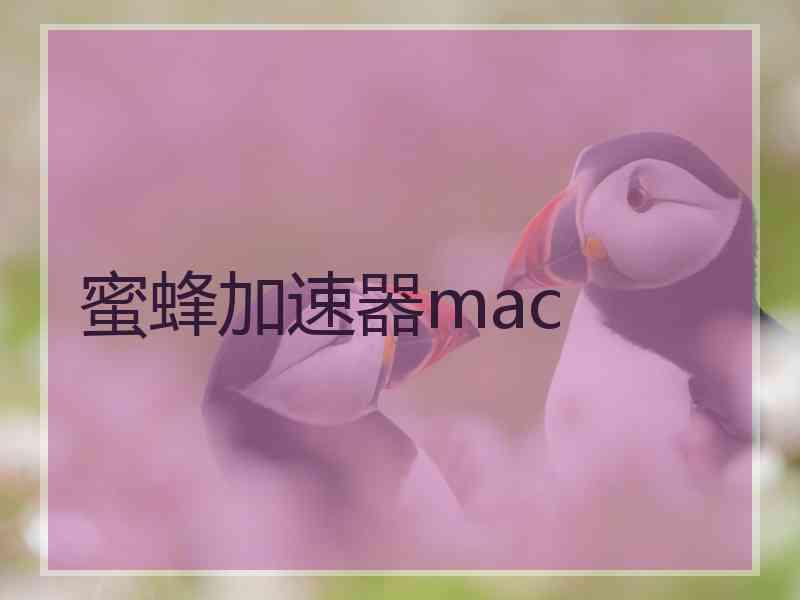 蜜蜂加速器mac