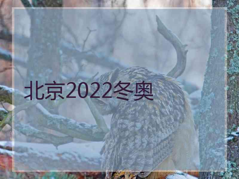 北京2022冬奥