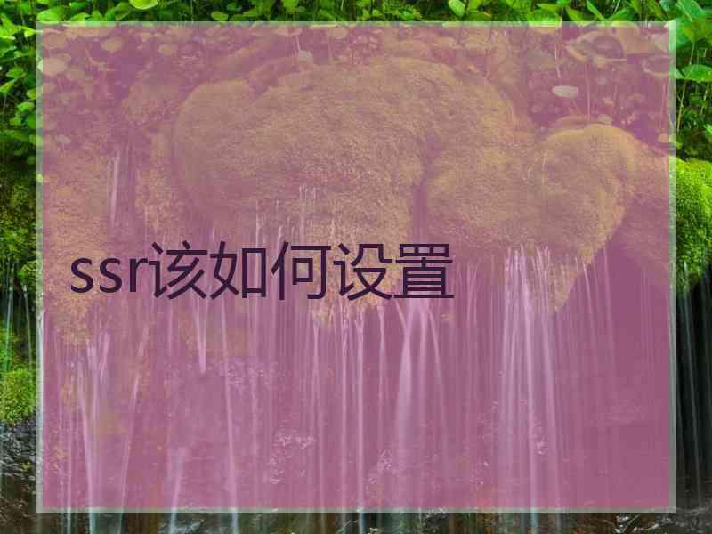 ssr该如何设置