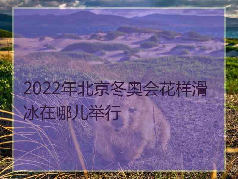 2022年北京冬奥会花样滑冰在哪儿举行