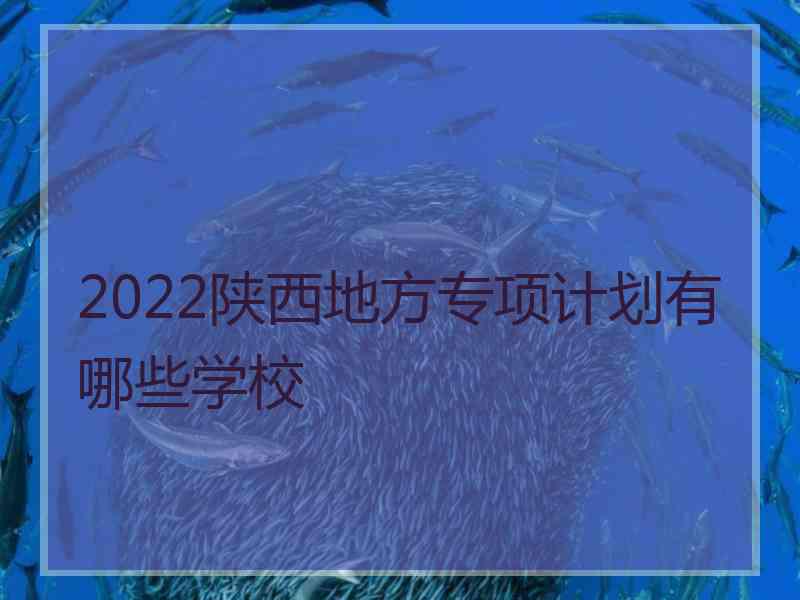 2022陕西地方专项计划有哪些学校