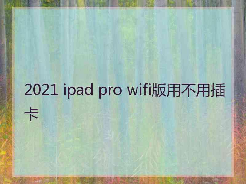 2021 ipad pro wifi版用不用插卡