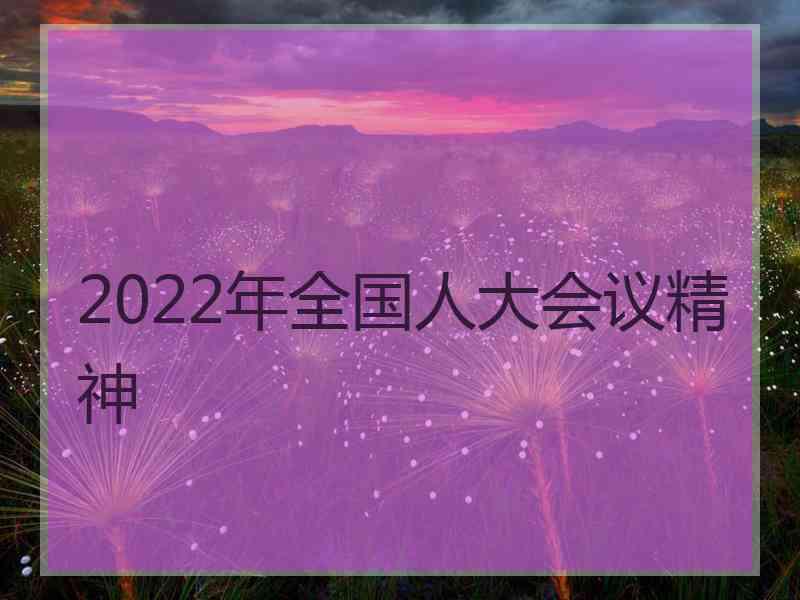 2022年全国人大会议精神