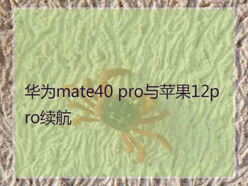 华为mate40 pro与苹果12pro续航