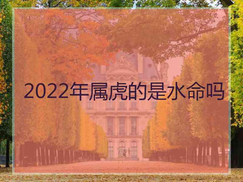 2022年属虎的是水命吗