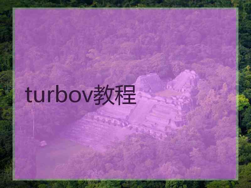 turbov教程