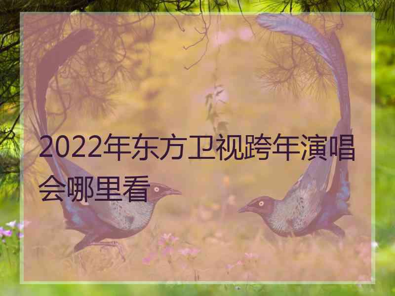 2022年东方卫视跨年演唱会哪里看