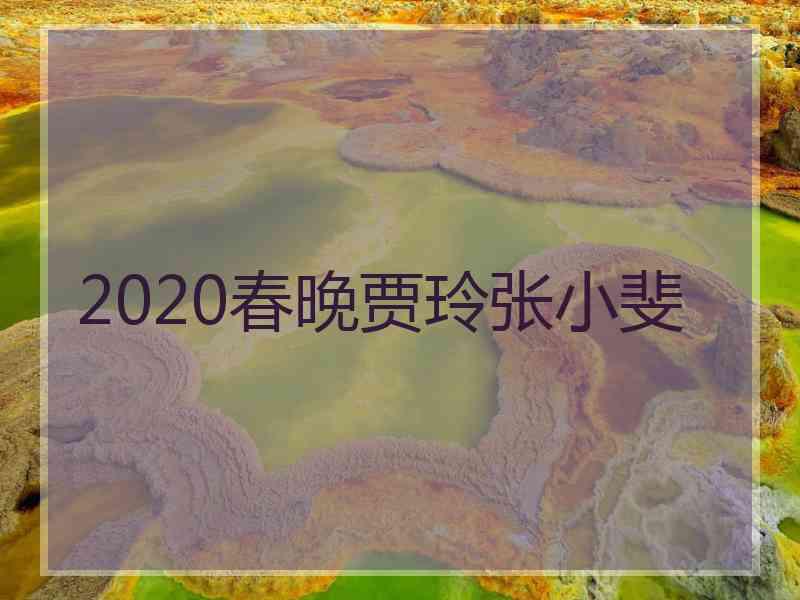 2020春晚贾玲张小斐