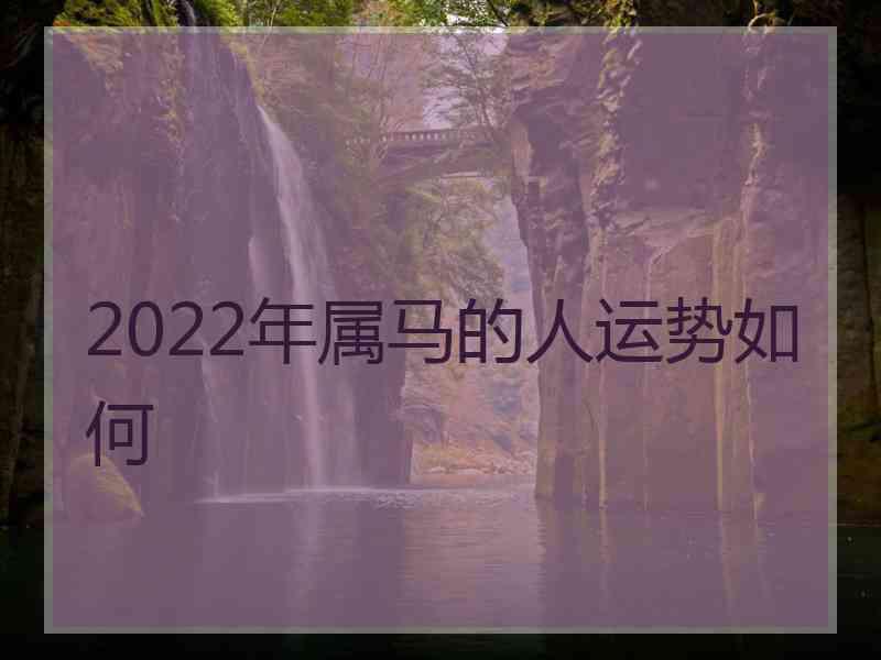 2022年属马的人运势如何