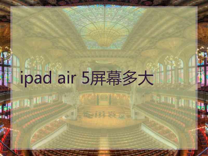 ipad air 5屏幕多大