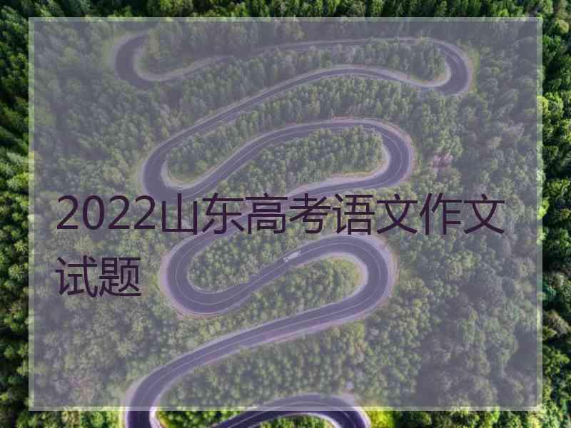 2022山东高考语文作文试题