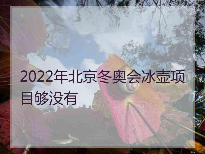 2022年北京冬奥会冰壶项目够没有