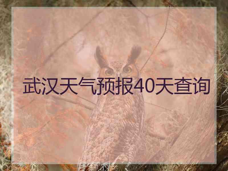 武汉天气预报40天查询