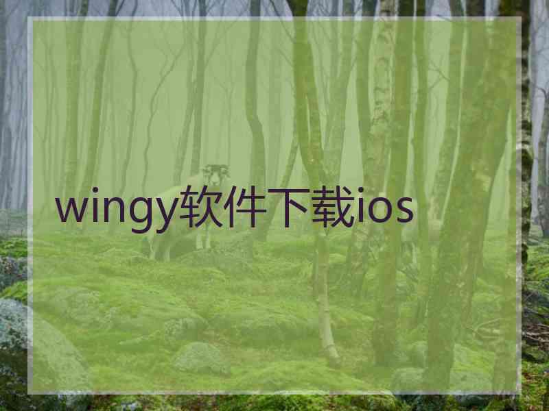 wingy软件下载ios