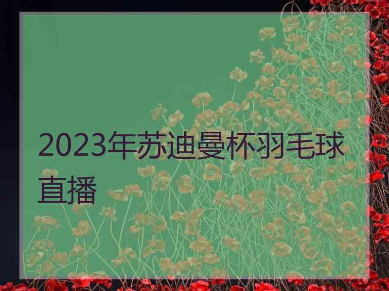 2023年苏迪曼杯羽毛球直播