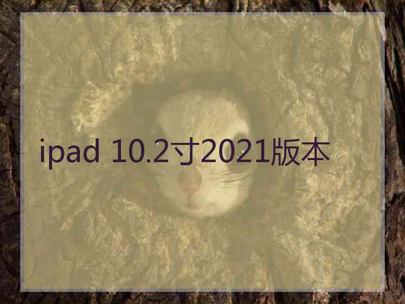 ipad 10.2寸2021版本