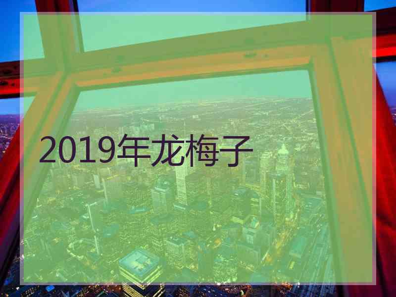 2019年龙梅子