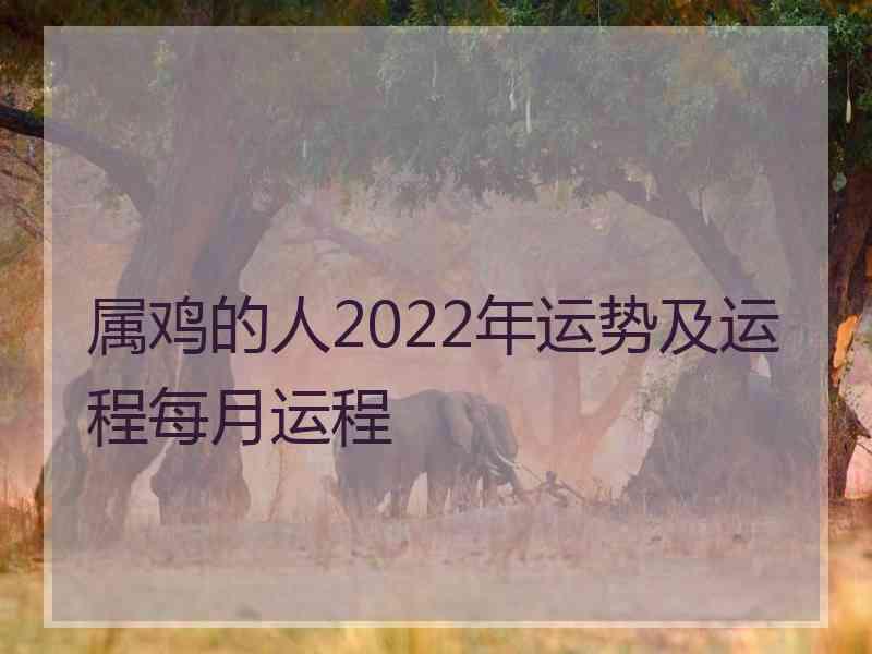 属鸡的人2022年运势及运程每月运程