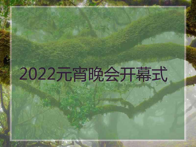 2022元宵晚会开幕式