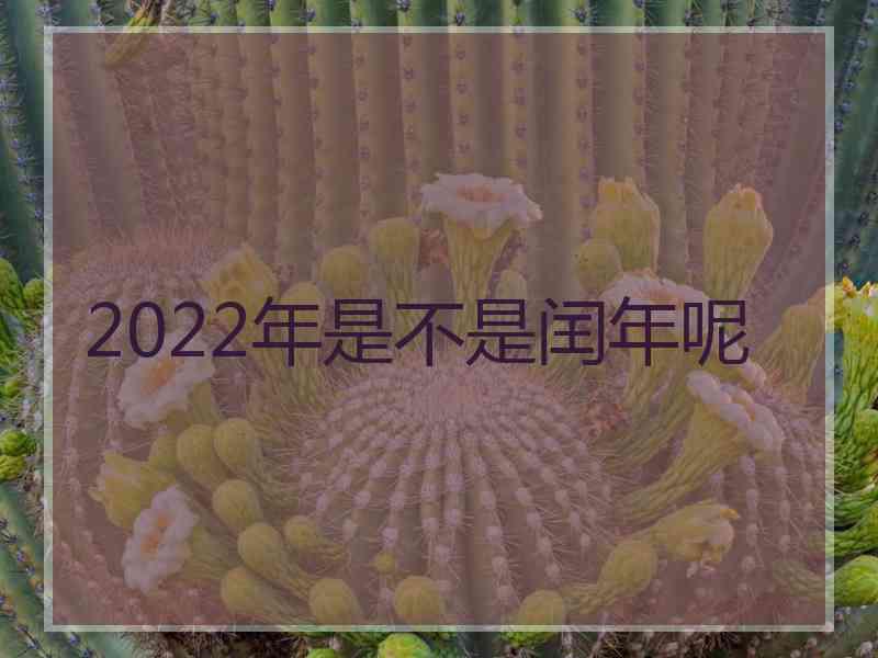 2022年是不是闰年呢