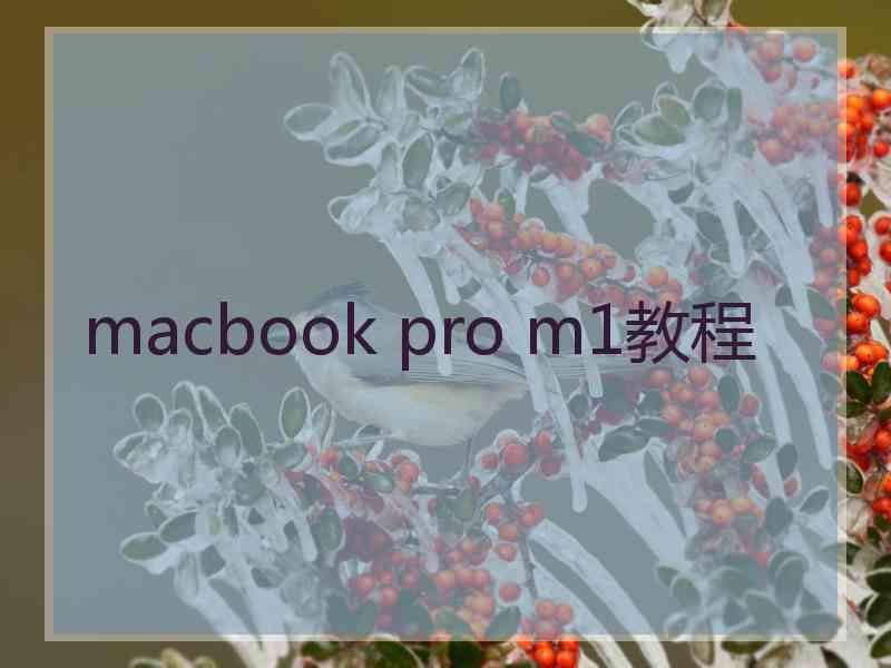 macbook pro m1教程