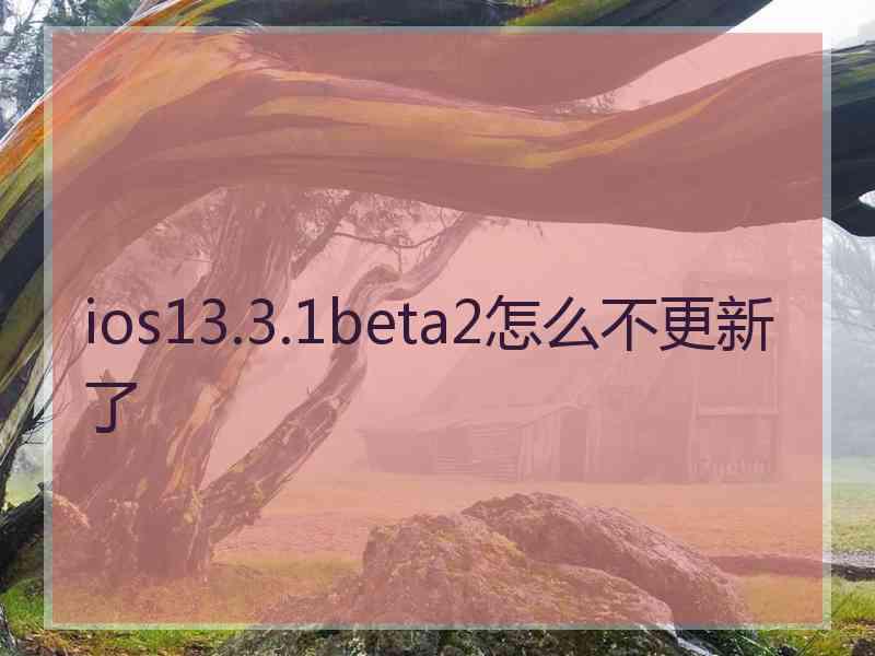 ios13.3.1beta2怎么不更新了