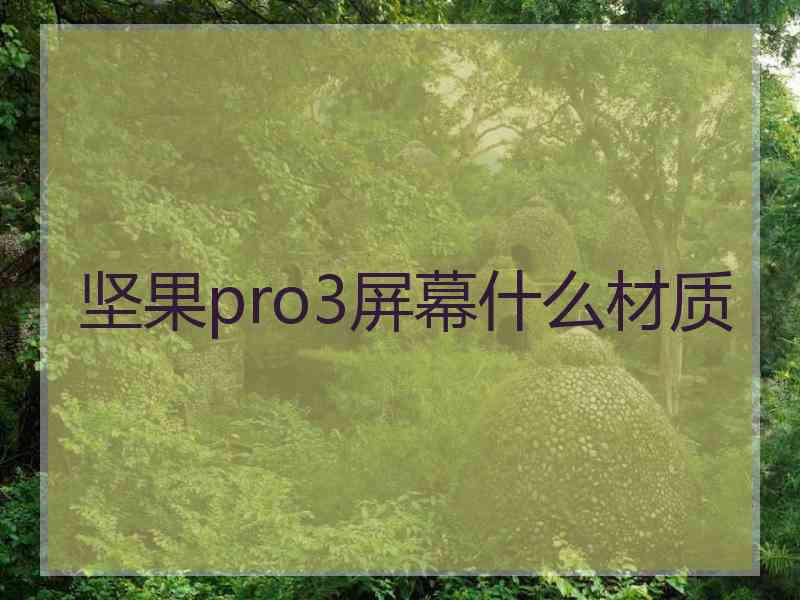 坚果pro3屏幕什么材质