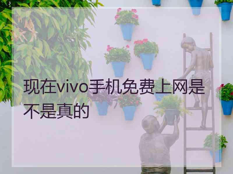 现在vivo手机免费上网是不是真的