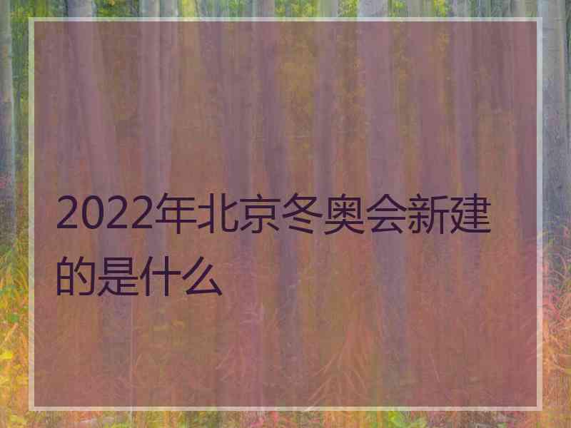 2022年北京冬奥会新建的是什么