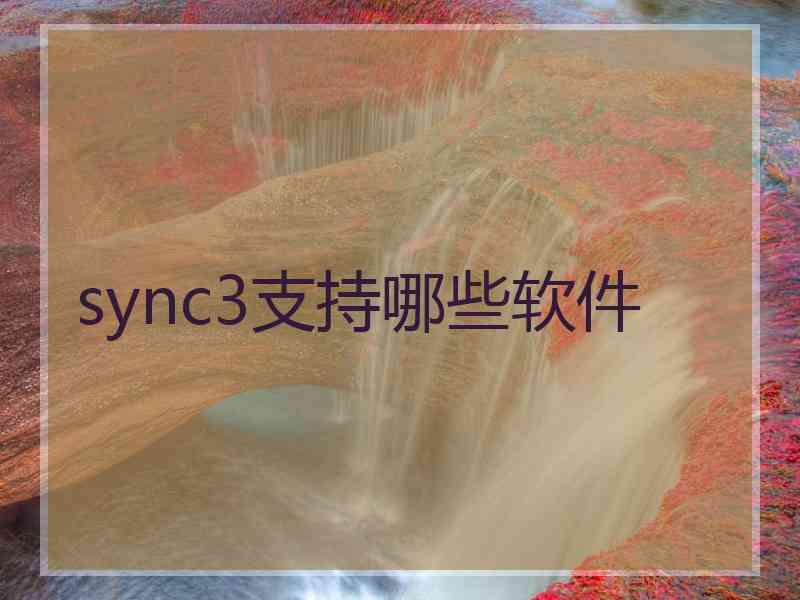 sync3支持哪些软件