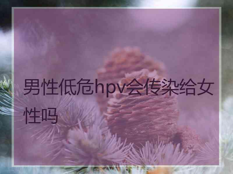 男性低危hpv会传染给女性吗