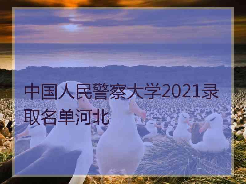 中国人民警察大学2021录取名单河北