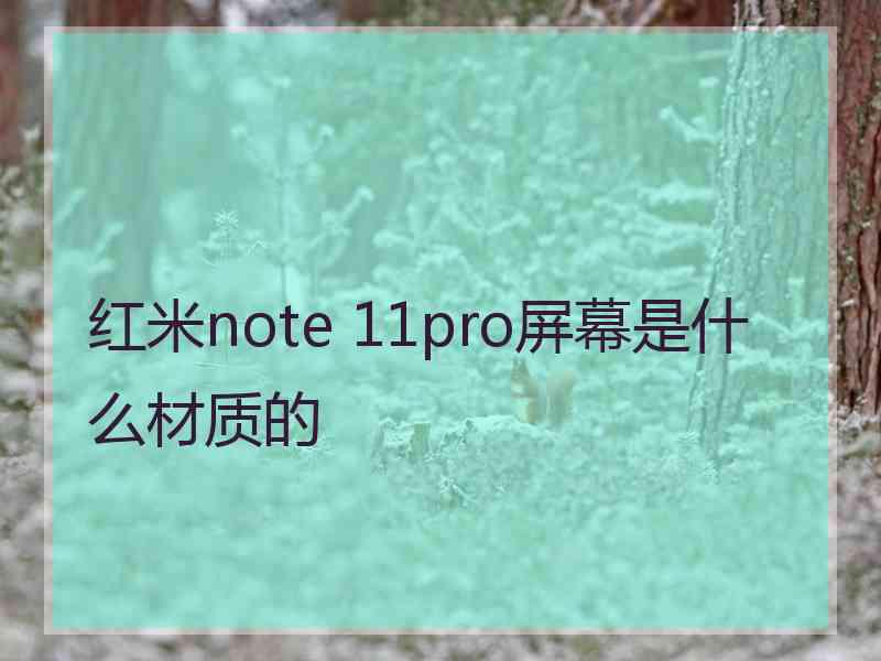 红米note 11pro屏幕是什么材质的