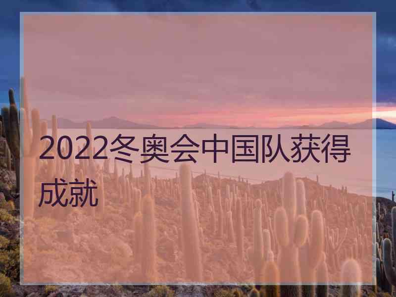 2022冬奥会中国队获得成就