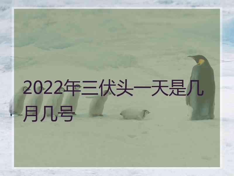 2022年三伏头一天是几月几号