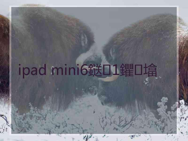 ipad mini6鎹1鑺墖