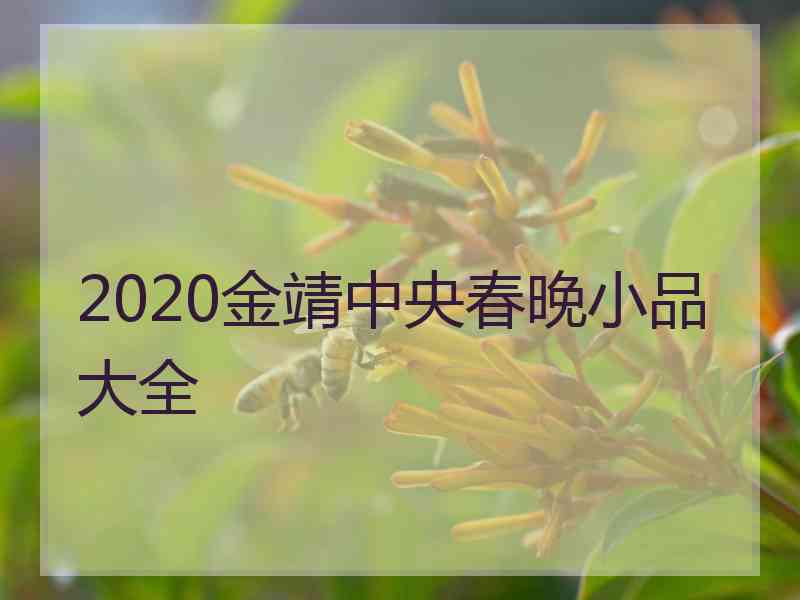 2020金靖中央春晚小品大全