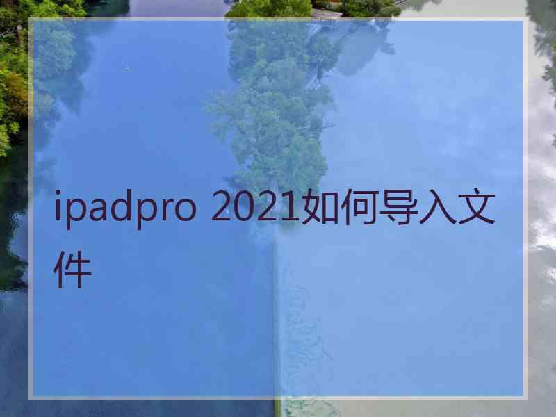 ipadpro 2021如何导入文件