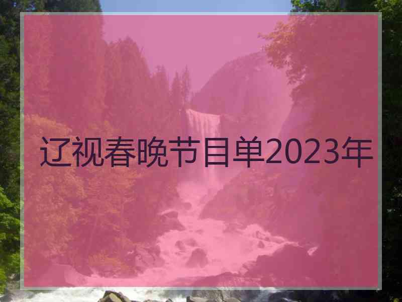 辽视春晚节目单2023年