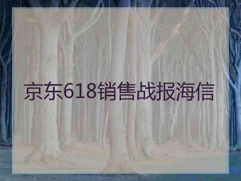 京东618销售战报海信