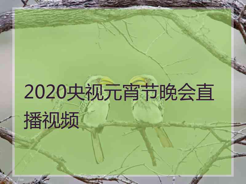 2020央视元宵节晚会直播视频