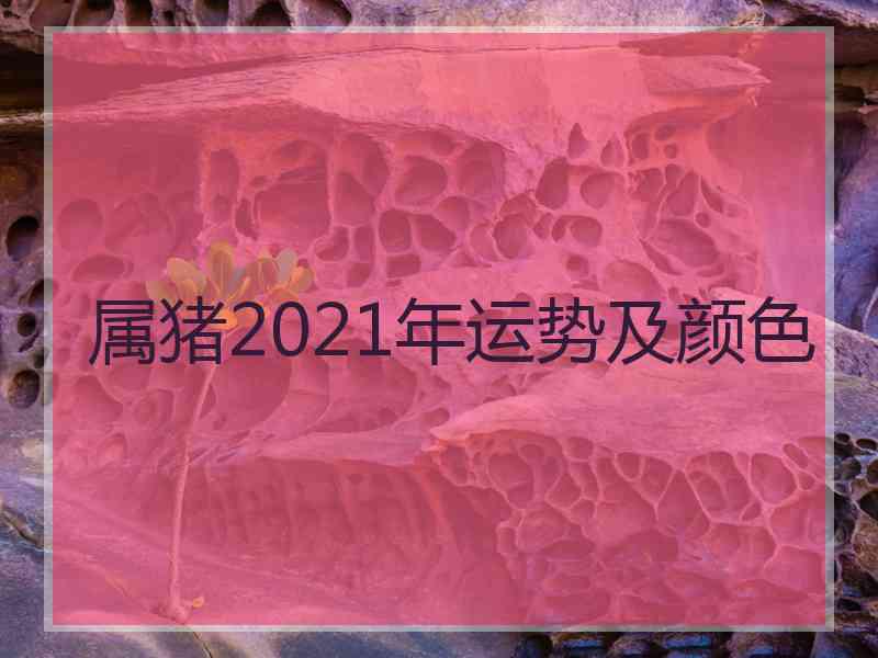 属猪2021年运势及颜色