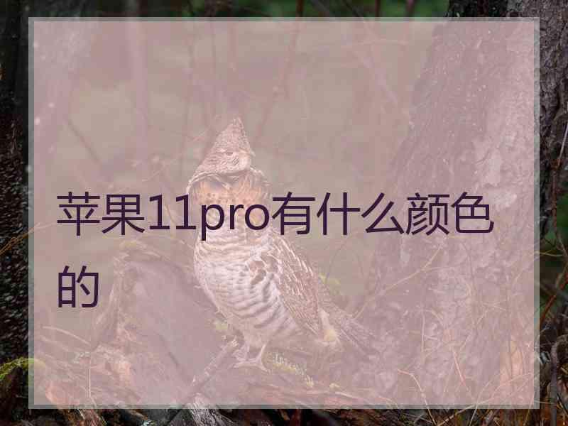 苹果11pro有什么颜色的